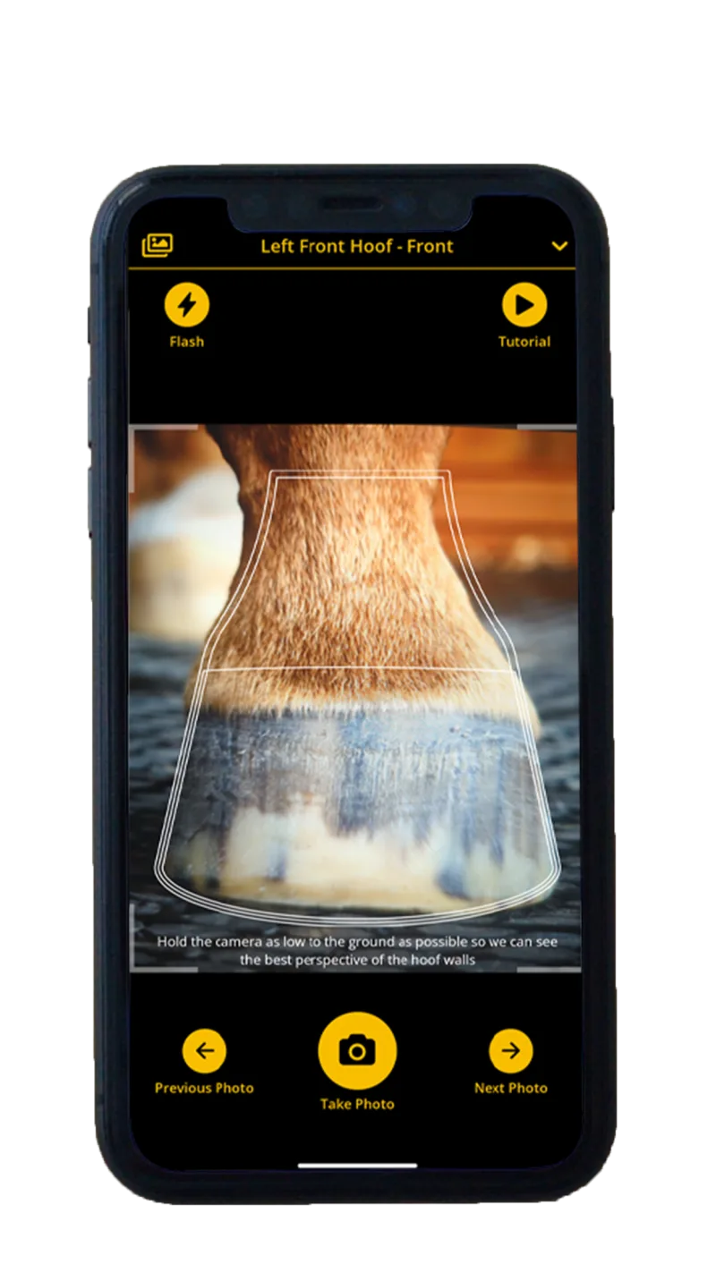 Scoot Boots sizing app screenshot