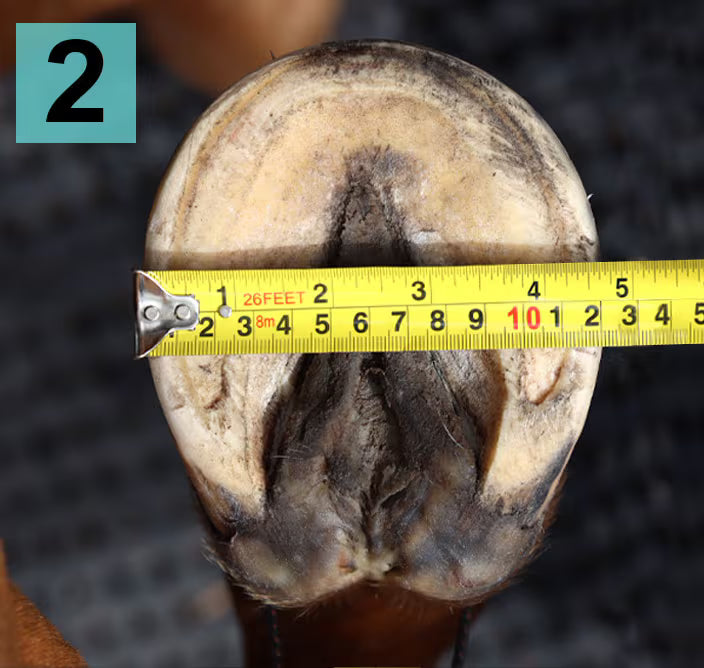 Width Photo