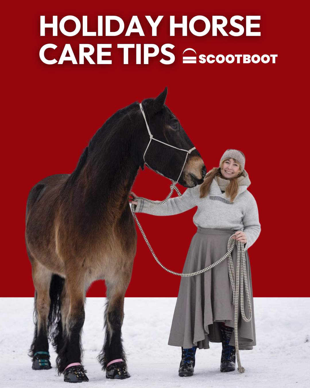 Holiday Horse Care: Keeping Your Horse Healthy and Happy