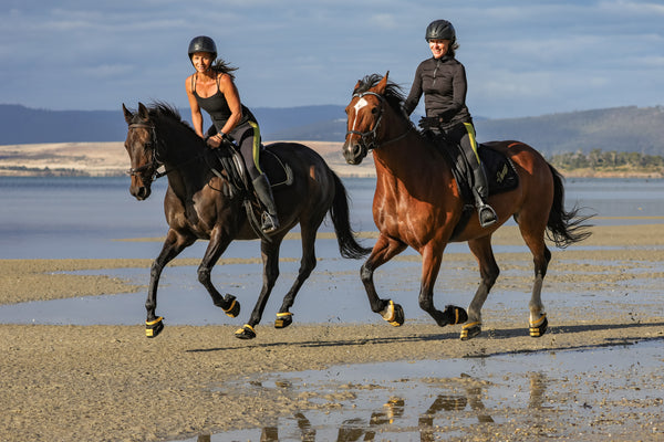 How a Trip to the Beach Can Improve your Horse’s Wellbeing