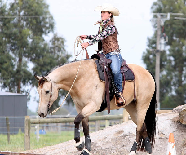 Do you Love the Natural Approach for Your Horse? Then the Barefoot Movement is for you!