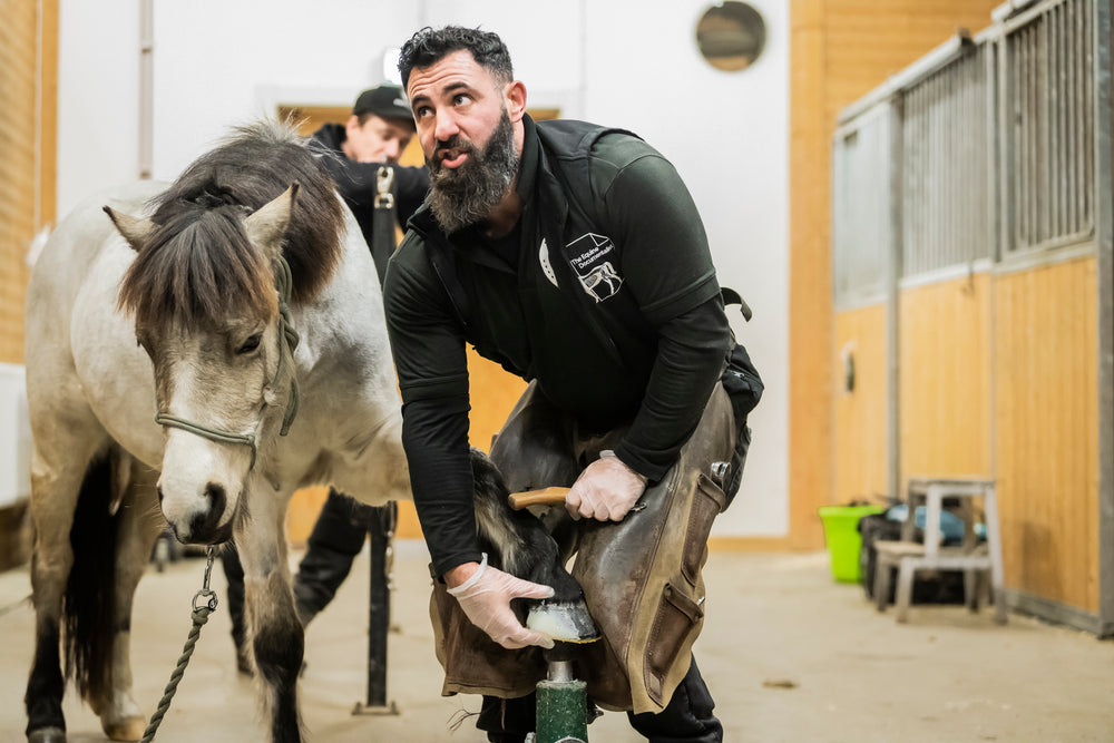 Scootboot Scandinavia Hosts Exclusive New Generation Farrier Clinic with Global Leader Yogi Sharp