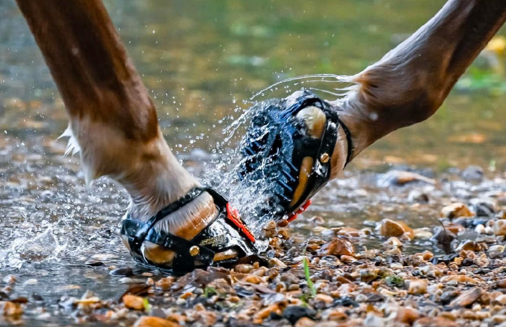 New Enduro Hoof Boots are a Game Changer for High Heeled Horses