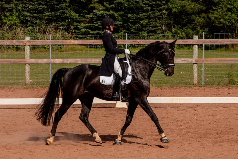 From PSG to Grand Prix: Erin MacQuarrie’s Barefoot Dressage Journey