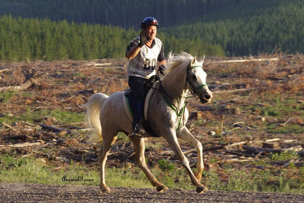 Glue-on Scoot Skins for the Ultimate Endurance Hoof Protection