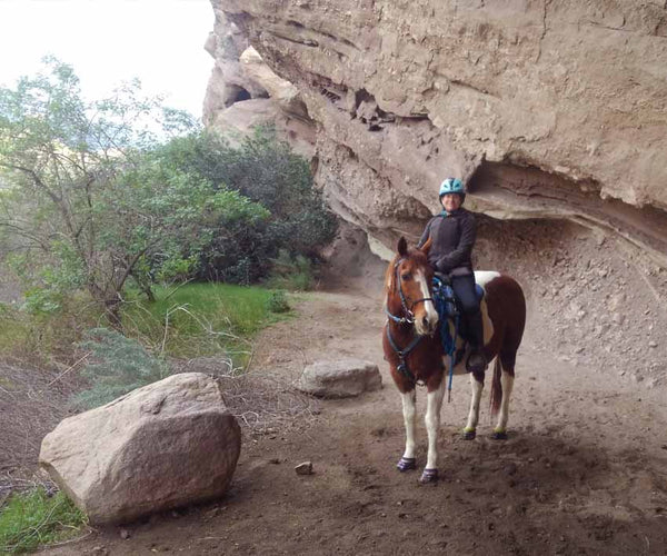 A paint horse wearing Scoot Boots being ridden on a trail ride