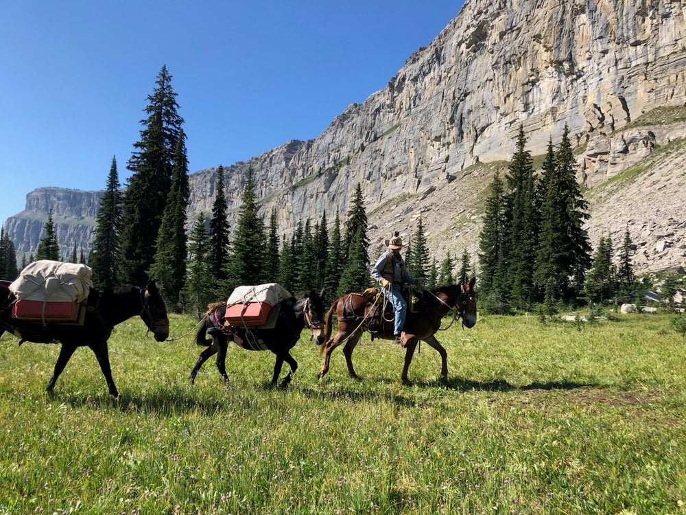 Hoof Boots for Mules to Secure Traction & Comfort on the Trail