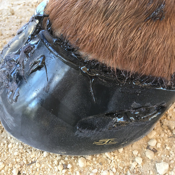 Ready set glue by Jo Harder Scoot Boots Content