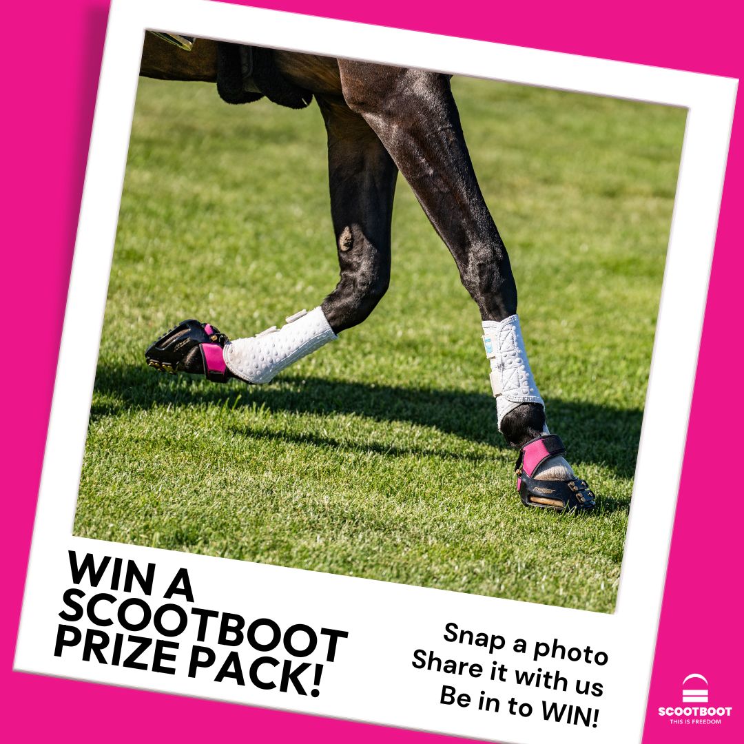 New Colour Alert! Pink MultiPurpose Gaiters