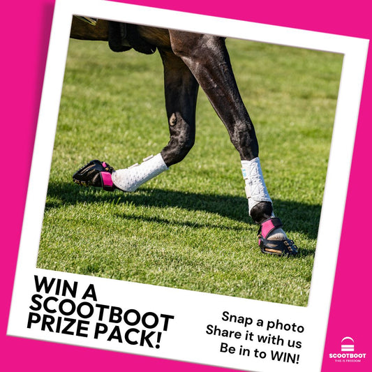 New Colour Alert! Pink MultiPurpose Gaiters