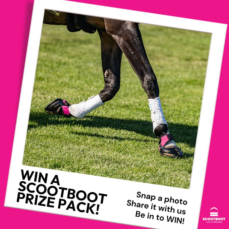 New Colour Alert! Pink MultiPurpose Gaiters