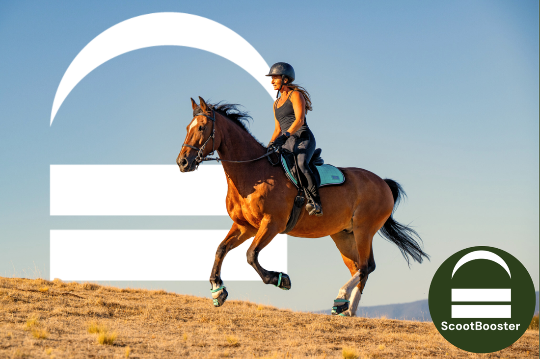 New ScootBooster program helps Wholesale customers grow their business