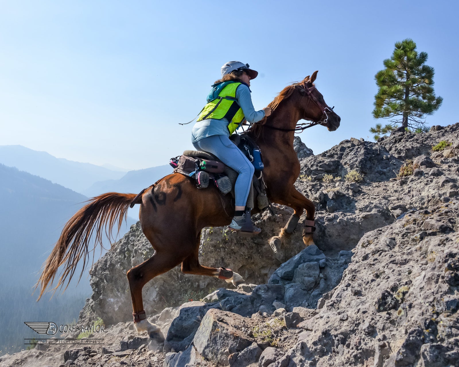 The Tevis Cup...the toughest 100 mile endurance race in America