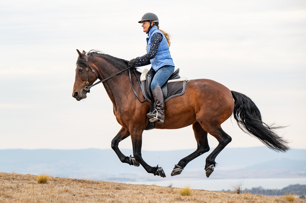 Barefoot vs Shod - Which is best for your horse?