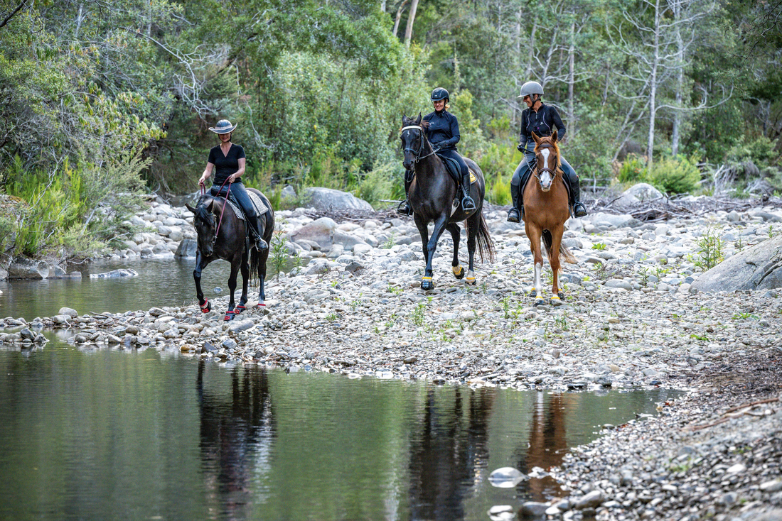 Why Scootboots Are the Perfect Hoof Boot for Trail Riding