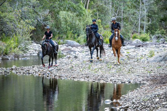 Why Scootboots Are the Perfect Hoof Boot for Trail Riding