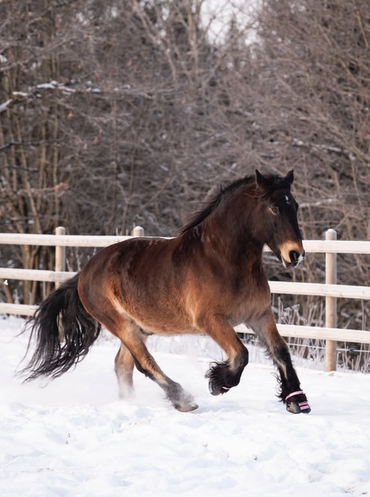 Using Scootboots Safely in Extreme Cold Temperatures