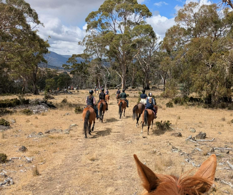 Scootboots at the Tasmanian Mountain Cattlemen’s Get Together
