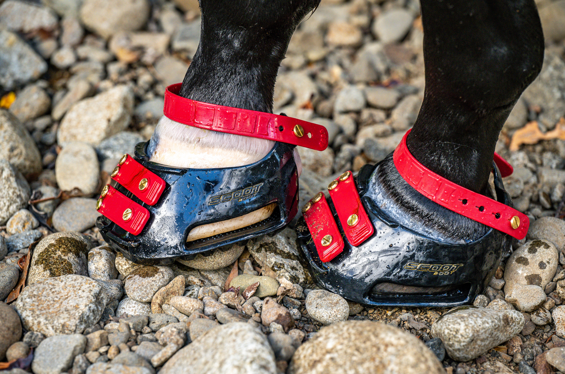 What Makes the Scootboot Classic Unique?