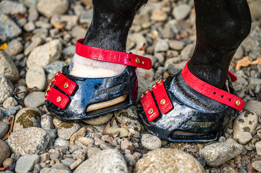 What Makes the Scootboot Classic Unique?