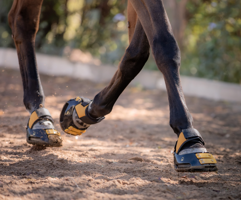 MultiPurpose Gaiters Are Now Available in Marigold
