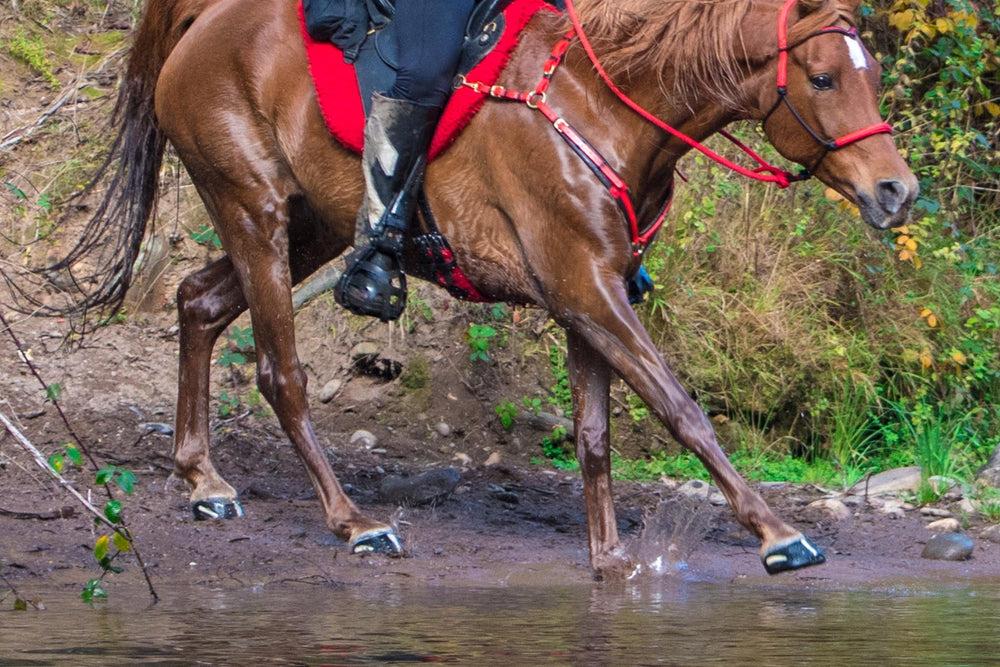 Boots vs. Skins vs. Traditional Shoes - have you weighed the options?