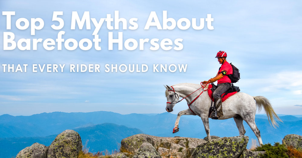 Top 5 Myths About Barefoot Horses That Every Rider Should Know