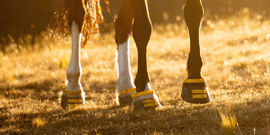 What are Hoof Boots Used For?