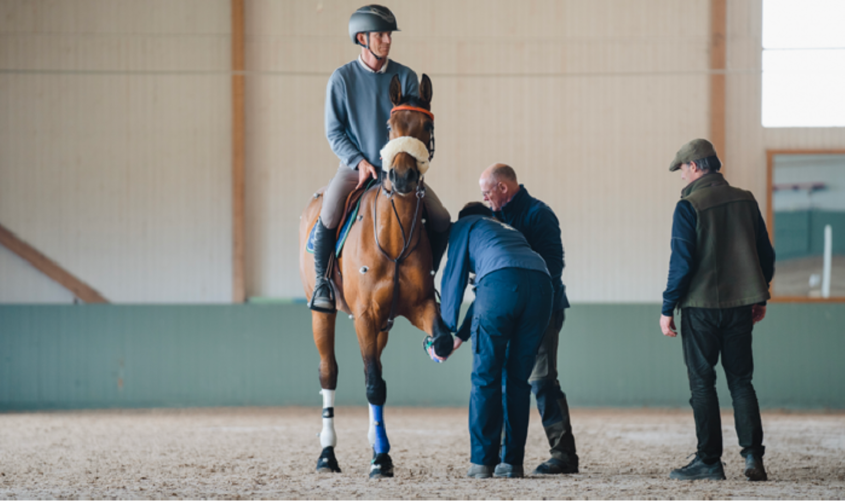 New Research on why Barefoot Horses remain Sounder than Shod Horses ...