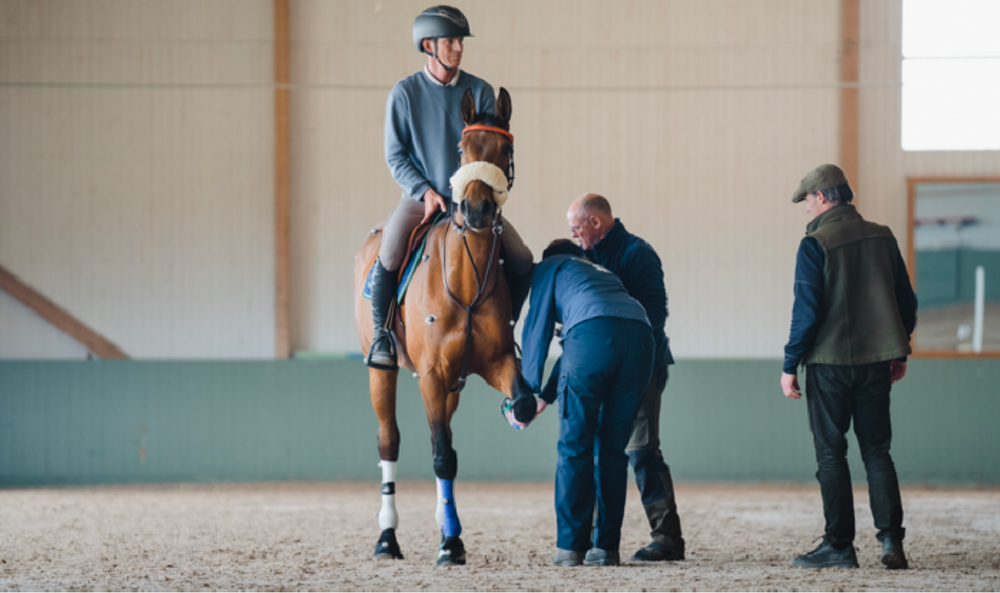 New Research on why Barefoot Horses remain Sounder than Shod Horses