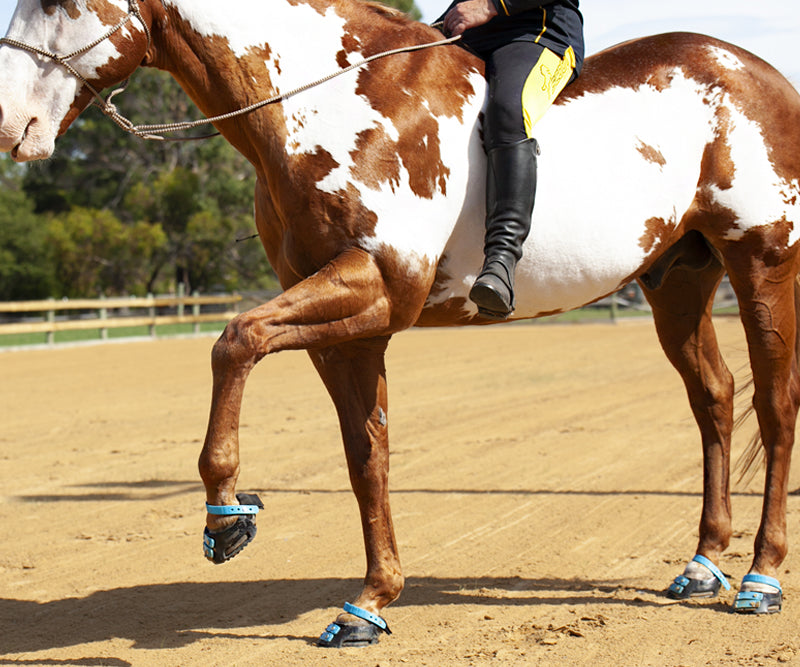 Hoof Boots For Management of Arthritis in Horses