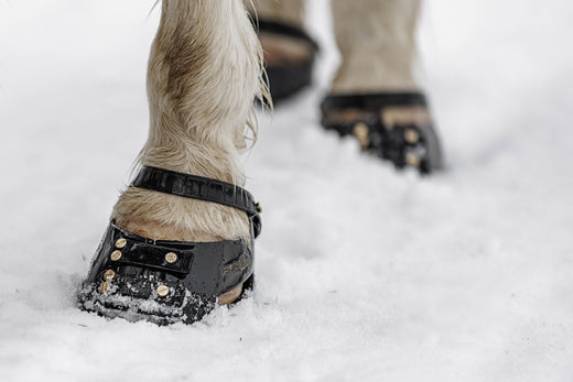 How to Prevent Snowballs in Your Horse's Hooves During Winter