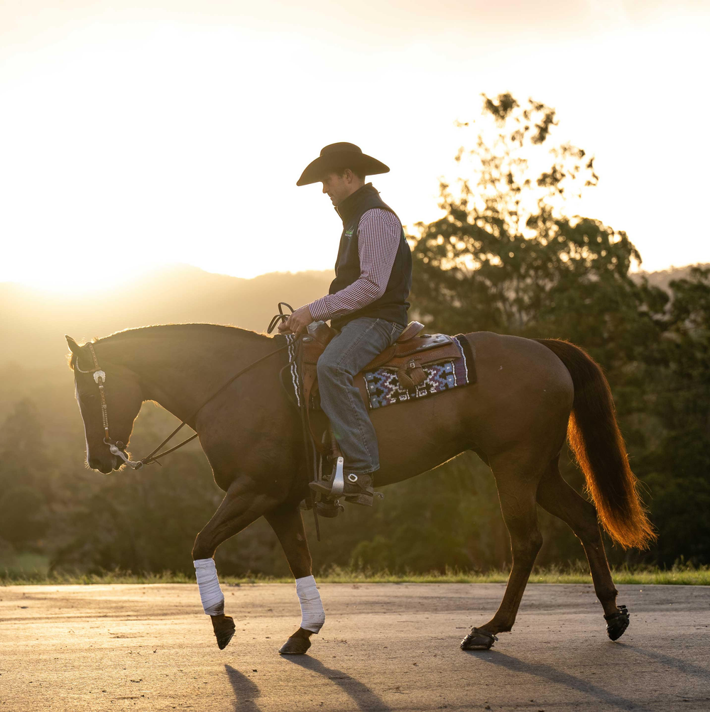 Scootboots Over Sliders: Why Every Reining Horse Needs Them