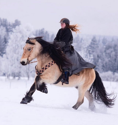 Ride Safely during Winter with Hoof Boots and Ice Studs