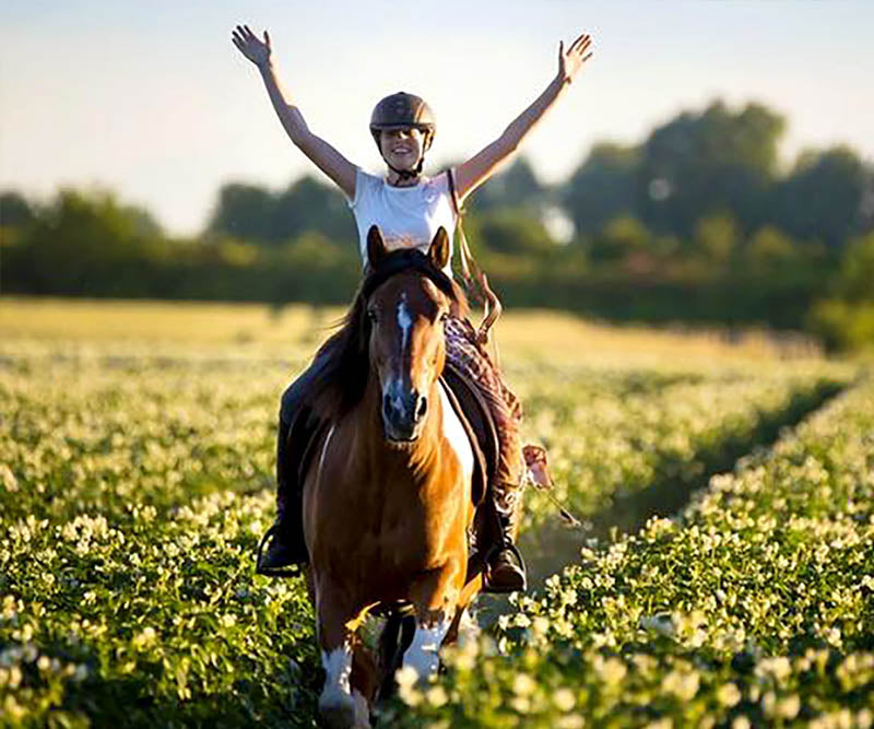 Help your Horse Recover from Navicular by going barefoot