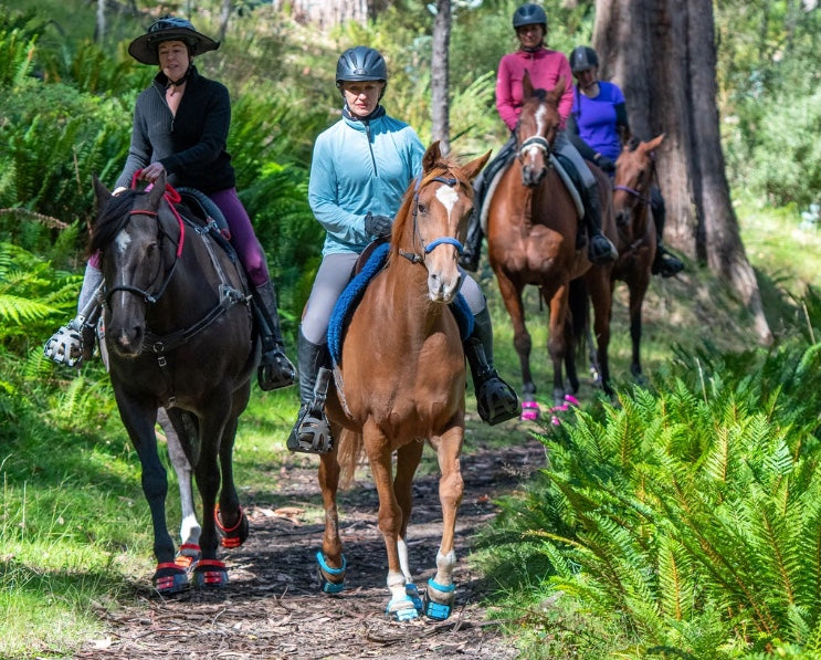 The importance of getting your Horse Fit for Trail Riding