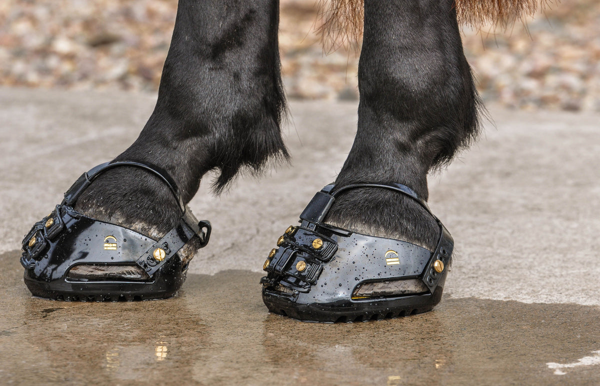 Scootboot sizing support for a horse hoof