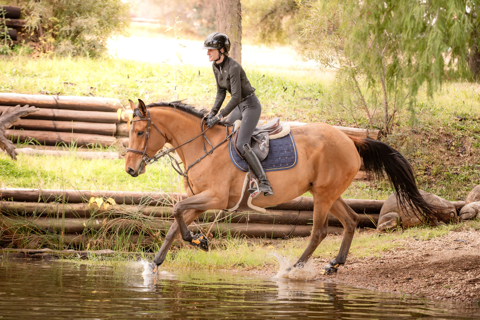 horse wearing Scootboot hoof boots while transitioning to barefoot