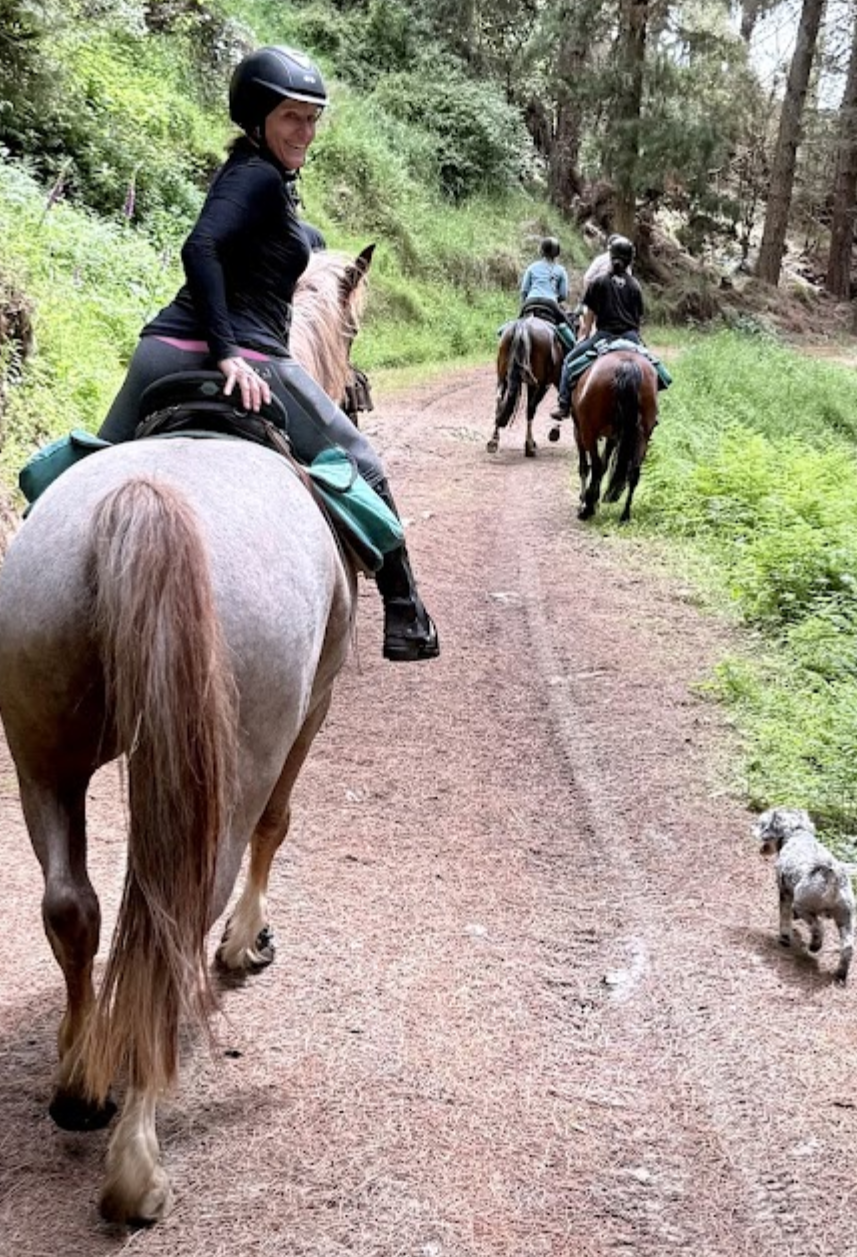 Horse wearing Scootboot hoof boots while training