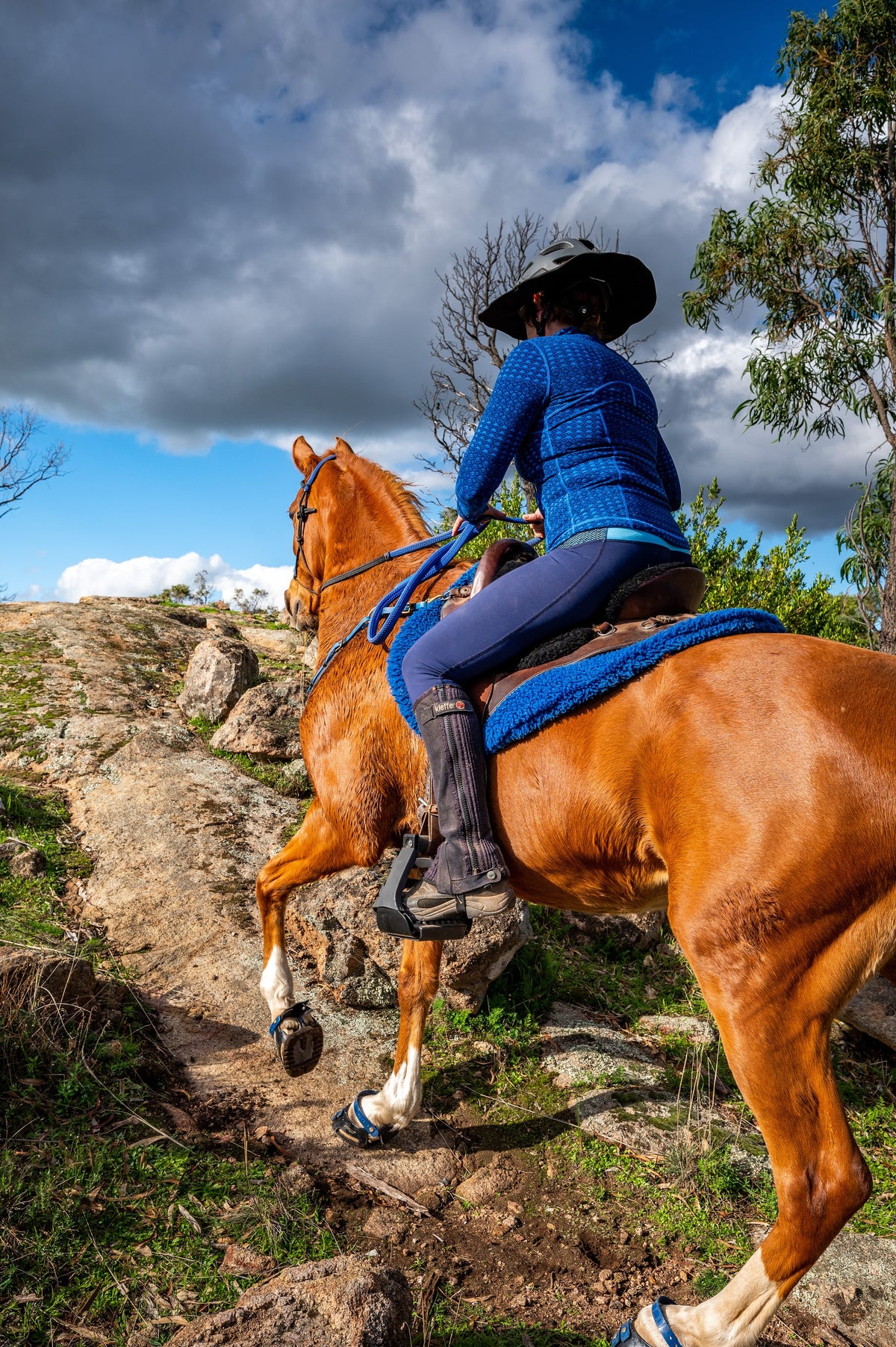 Horse wearing Scootboot hoof boots while training
