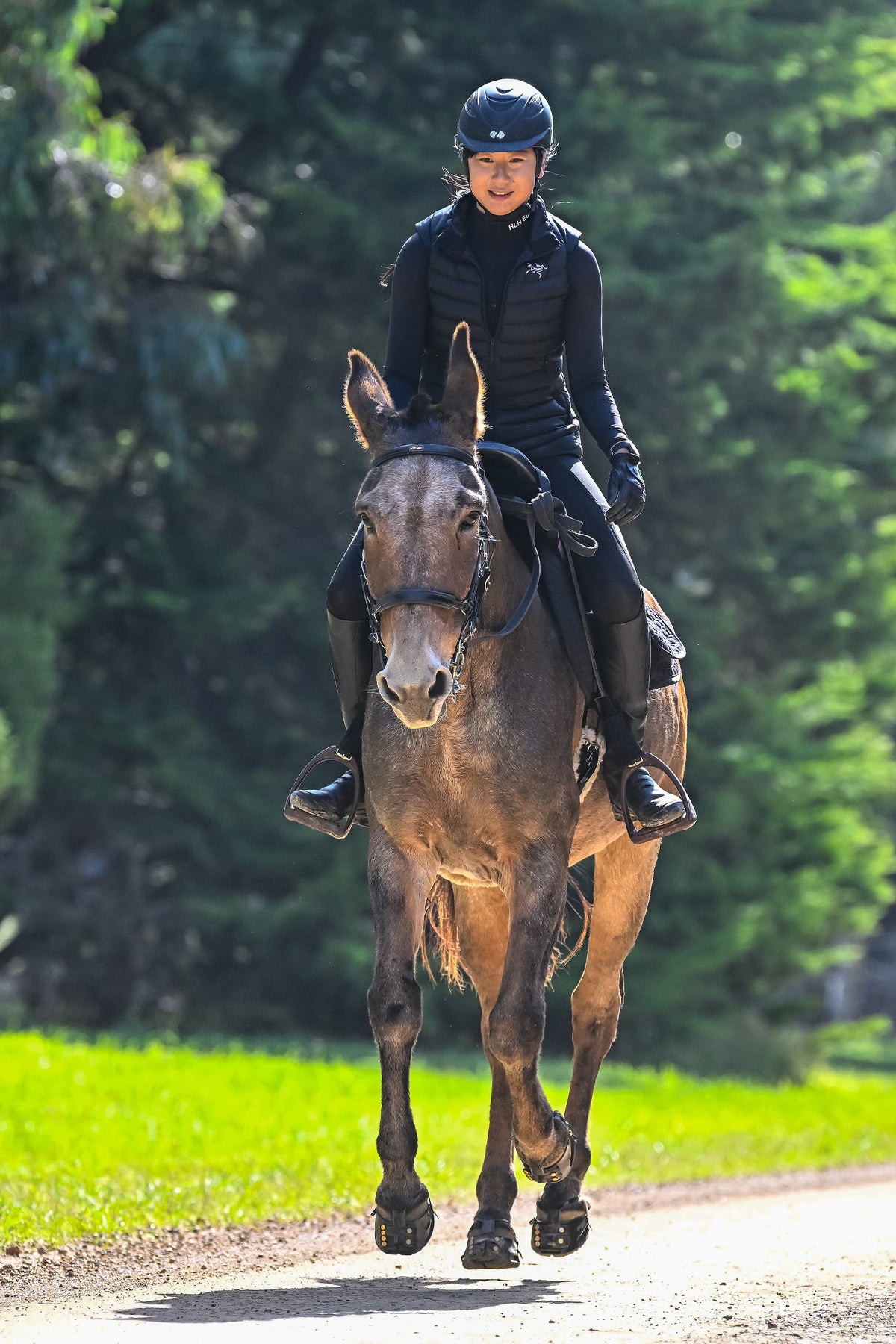 Horse wearing Scootboot hoof boots while training