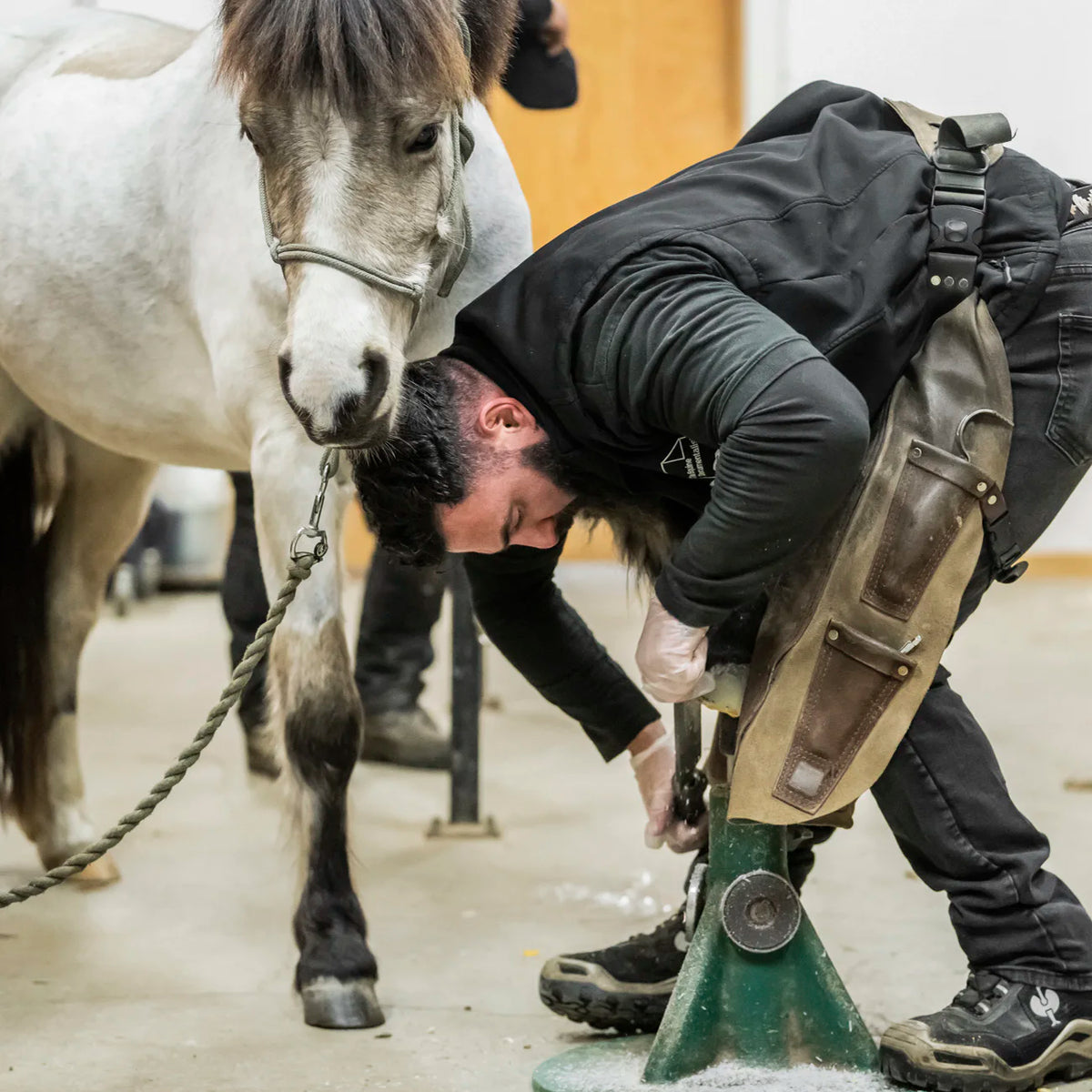 Horse wearing Scoot Boots on a trail
