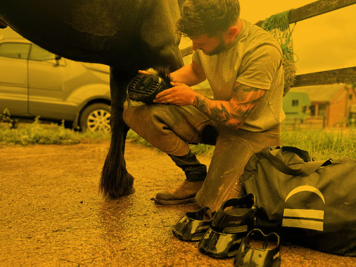 close up of Scootboot hoof boots protecting a barefoot horse