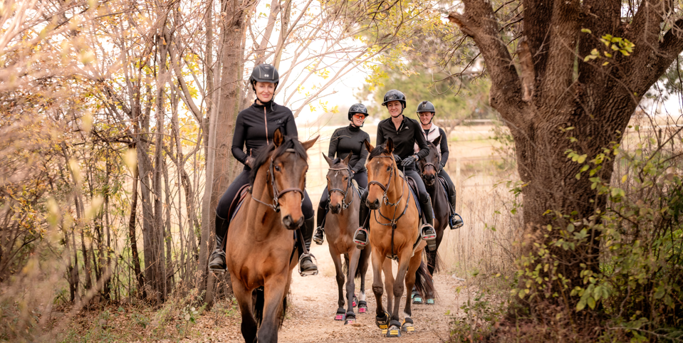 Rider on a horse wearing Scoot Boots