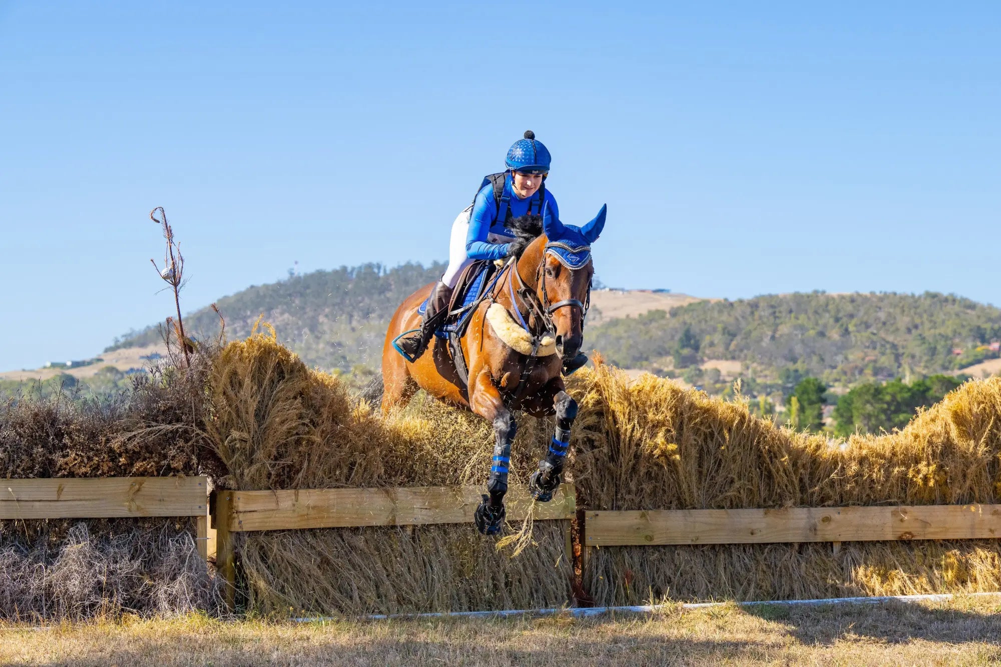Rider and horse out on the trail